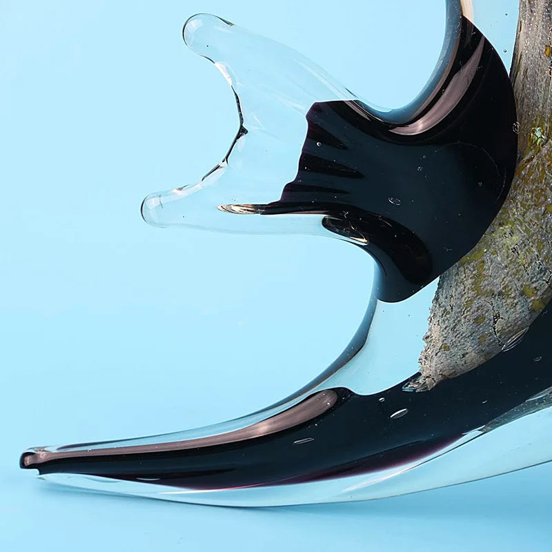 Amazon Angelfish