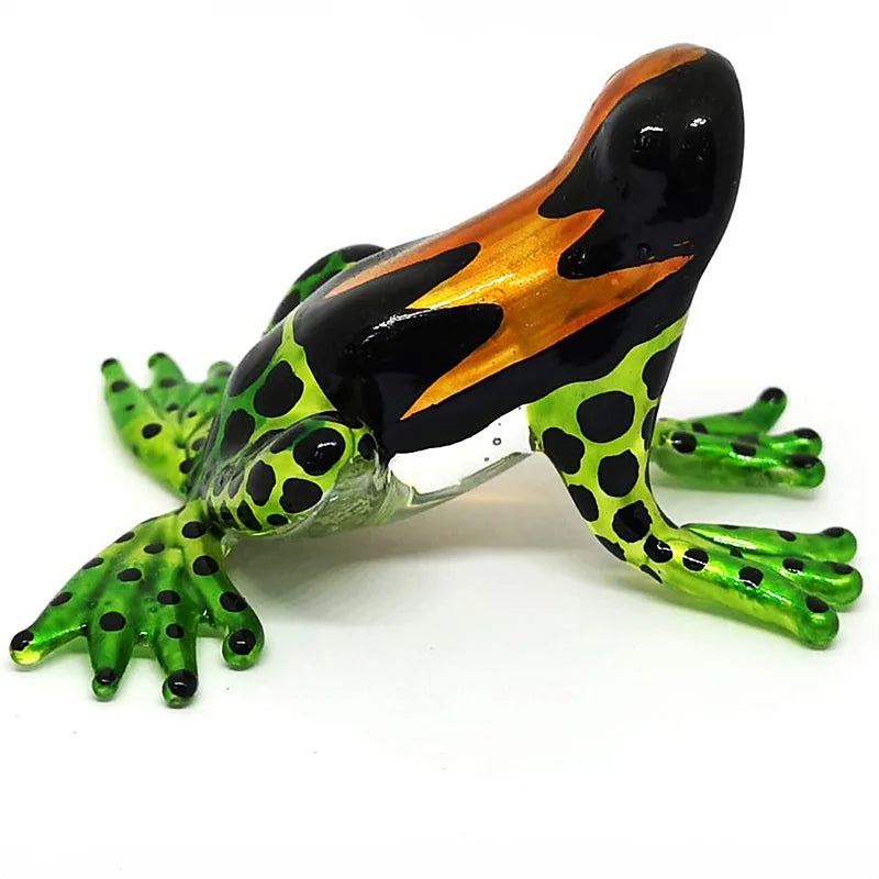 Rainforest Frog