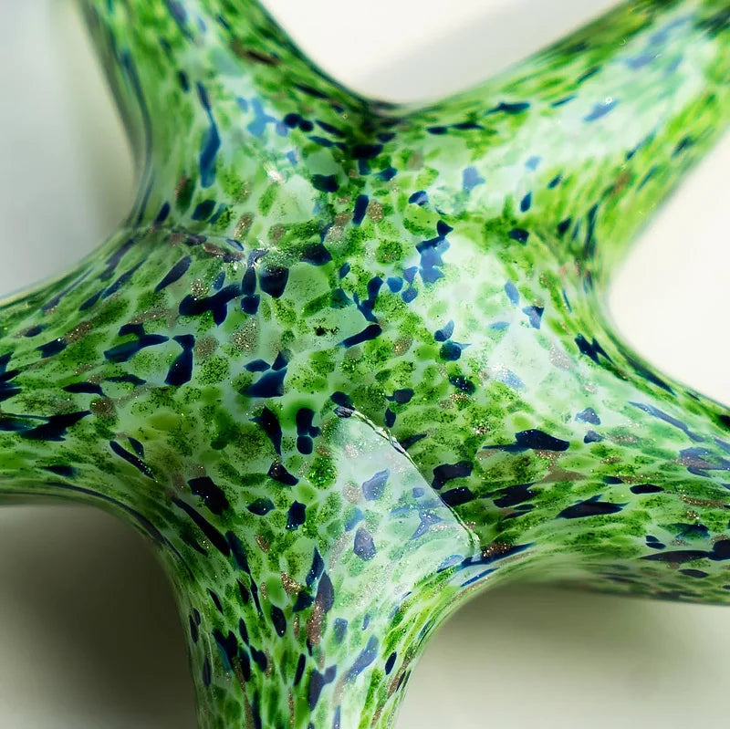Ocean Starfish