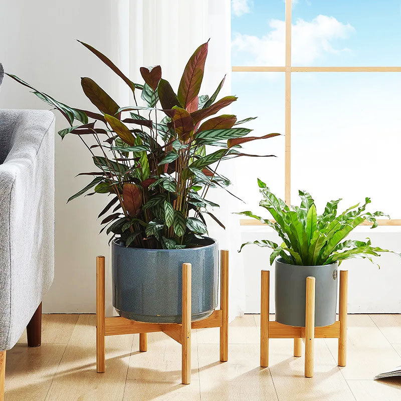 Wood Plant Stand