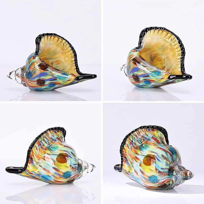 Siesta Conch Collection