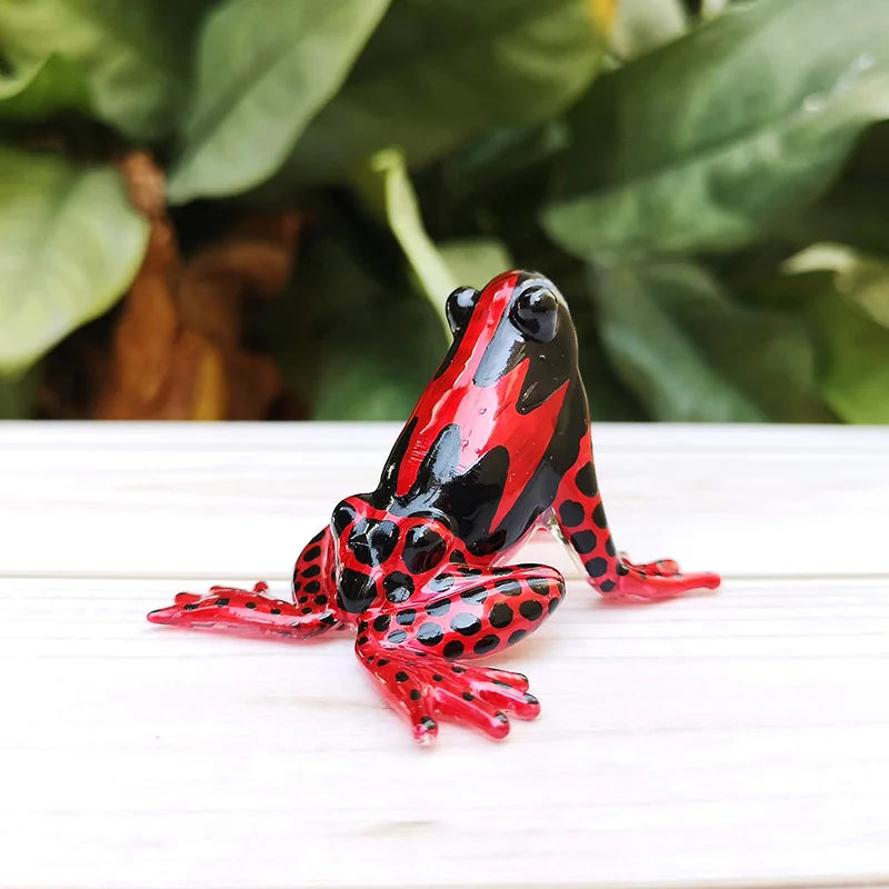 Rainforest Frog