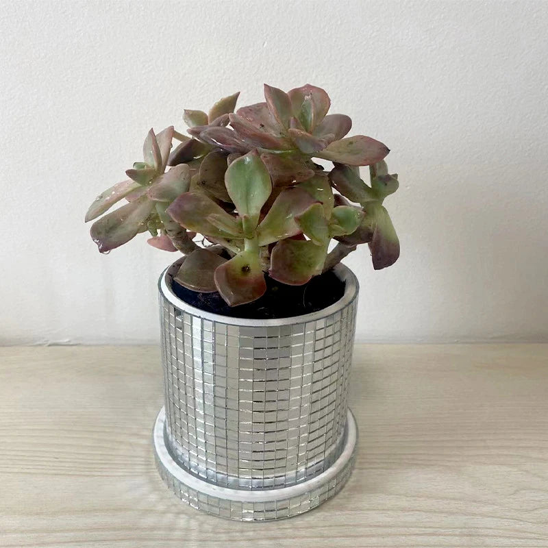 Mirrored Mosaic Planter