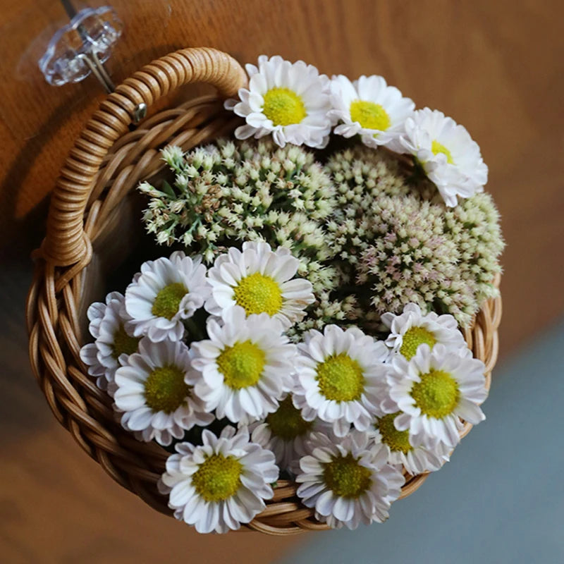 Woven Hanging Basket