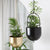 Stackable Hanging Planter