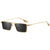 Pantheon Gold-Trimmed Sunglasses