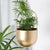 Stackable Hanging Planter