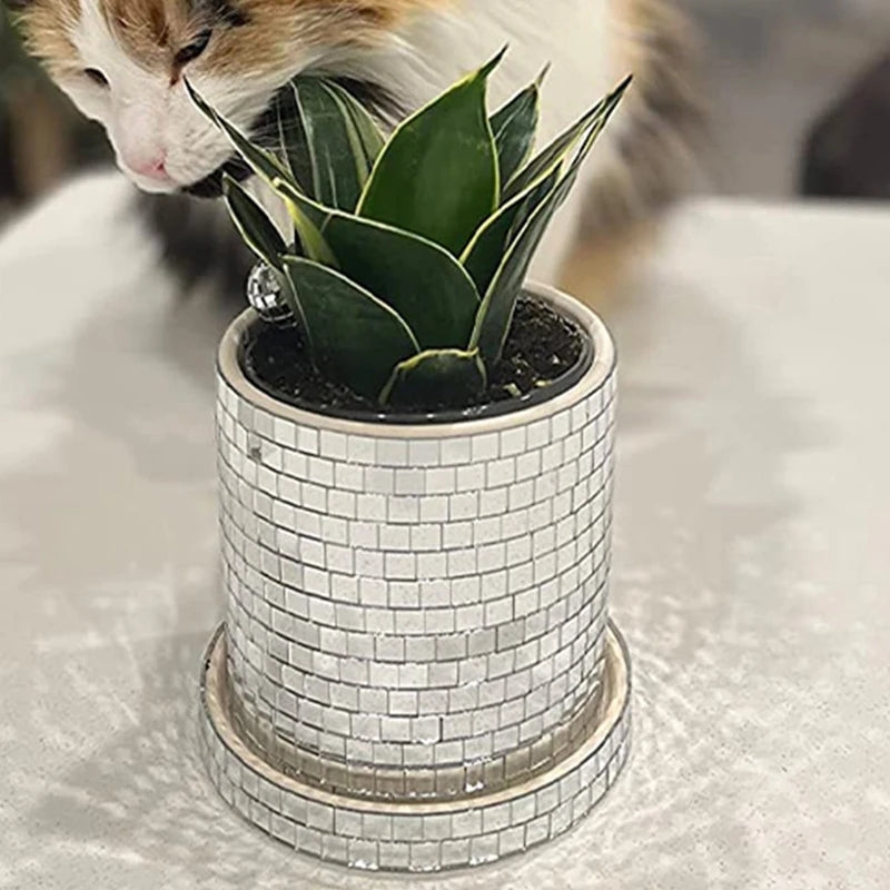Mirrored Mosaic Planter
