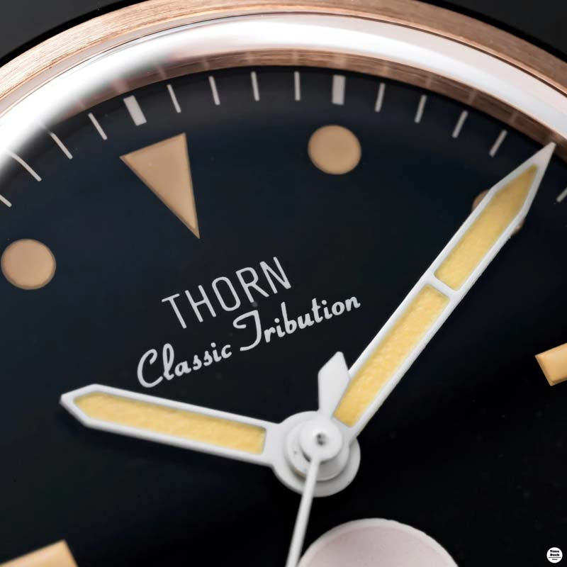 Thorn Midnight: Bronze Edition