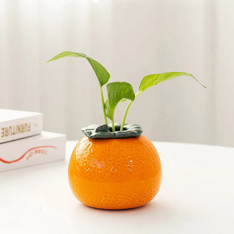 Citrus Planter Set